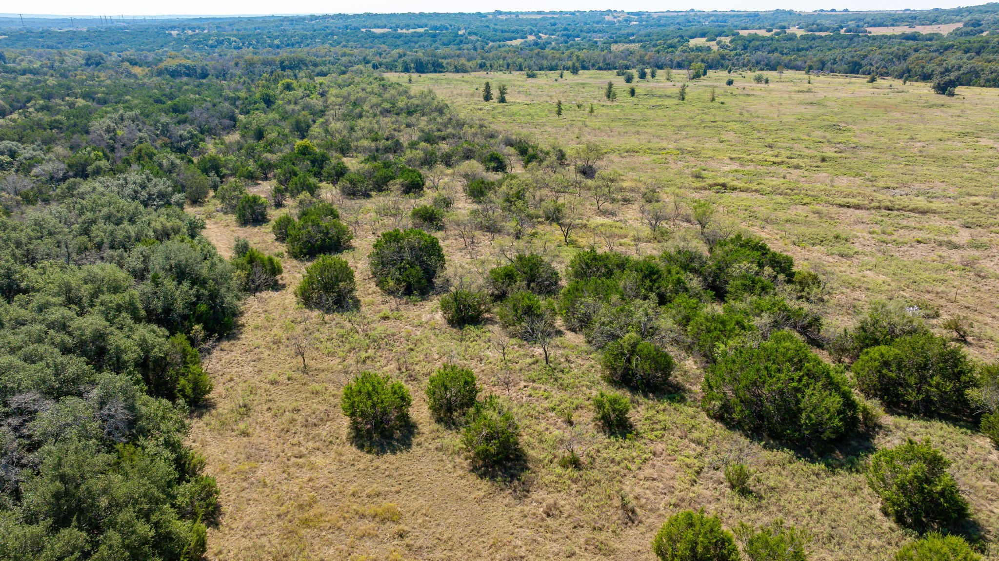 1483 County Road 2435, Hico, TX, 76457
