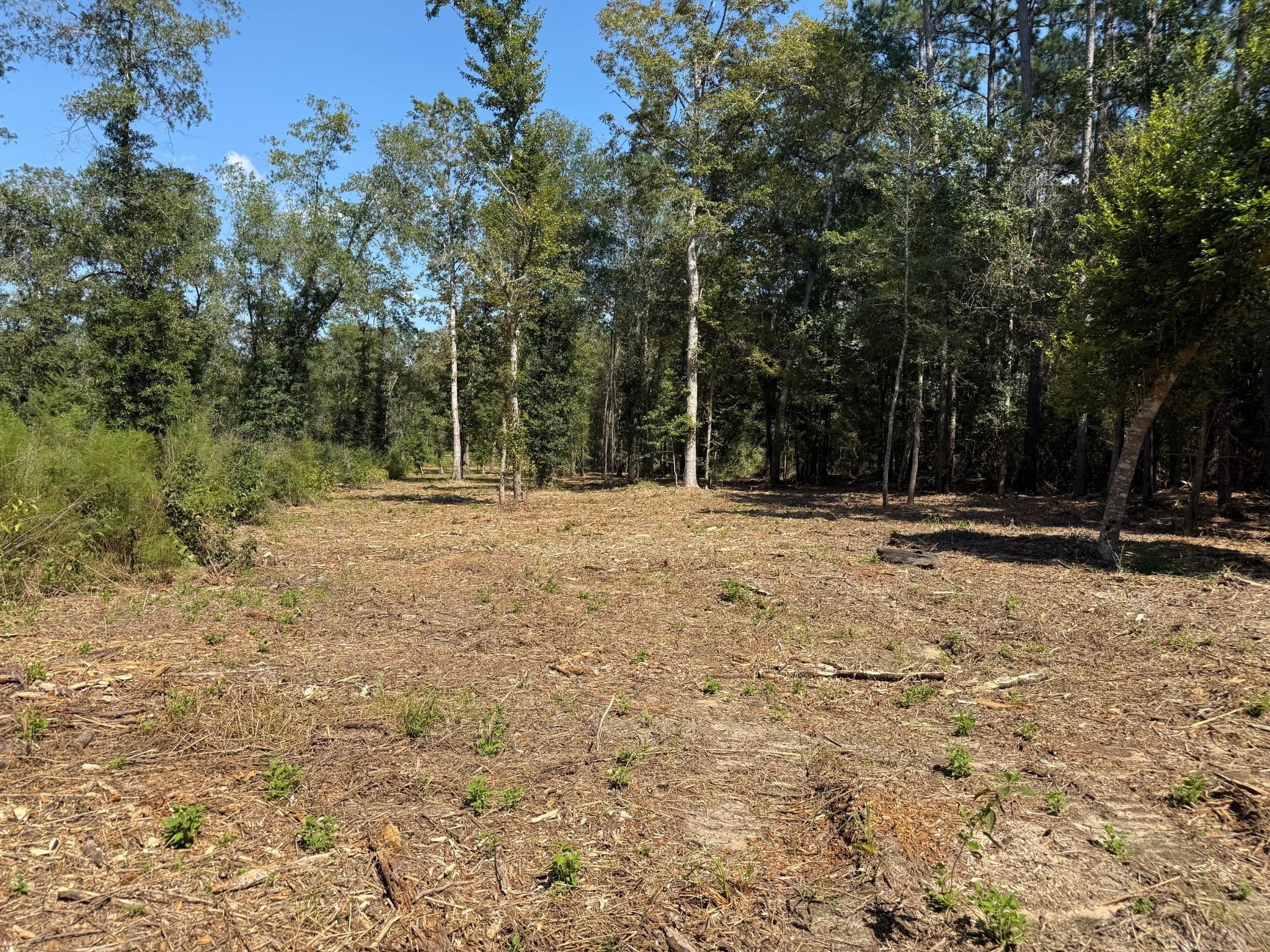 262 Maze Road, Livingston, TX, 77351