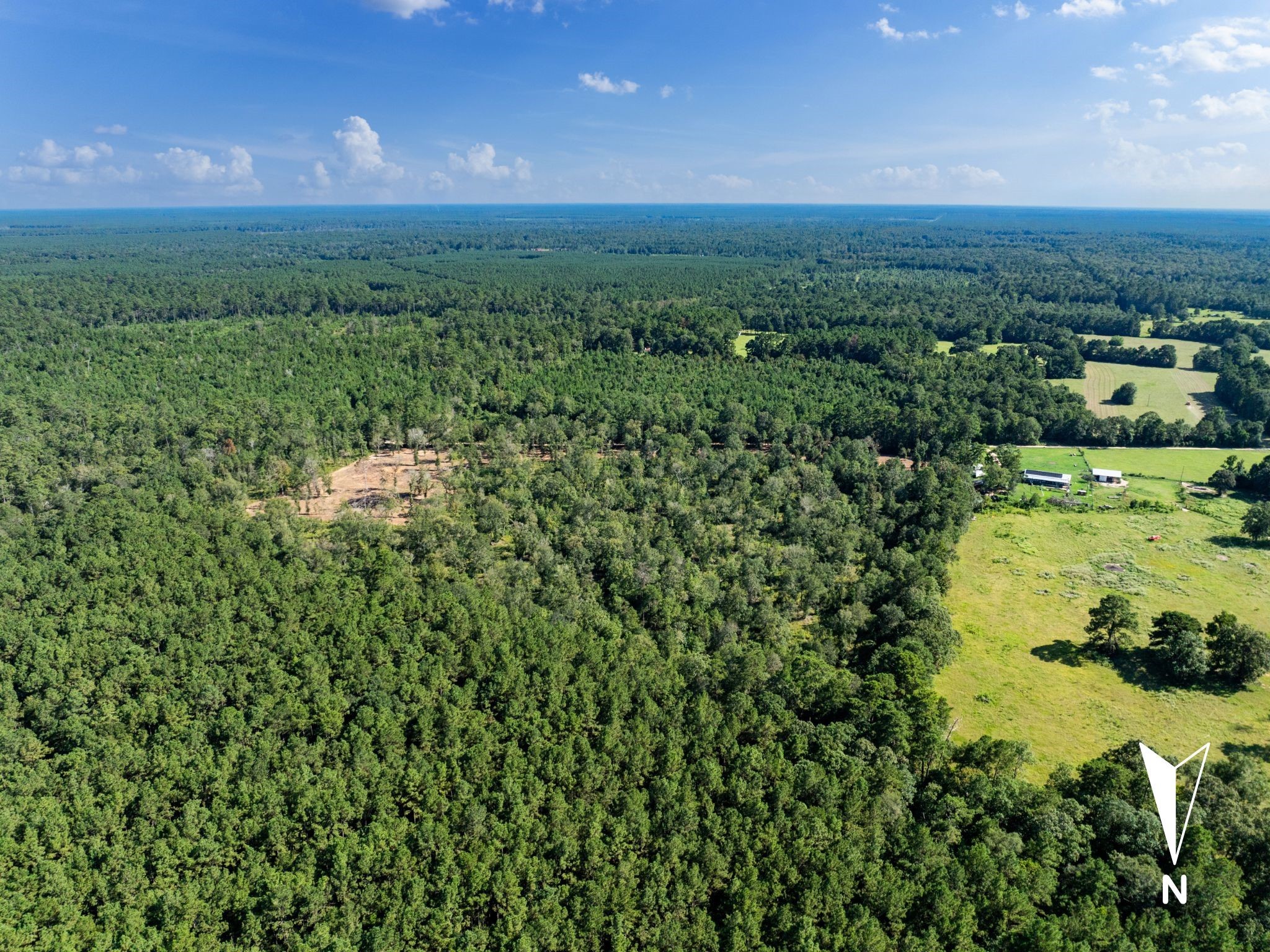 262 Maze Road, Livingston, TX, 77351