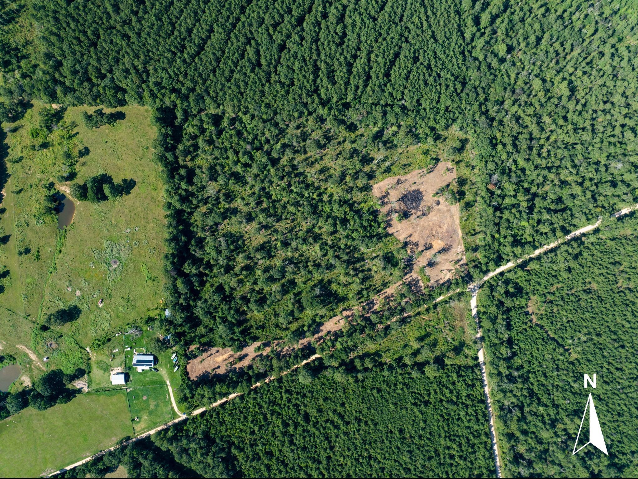 262 Maze Road, Livingston, TX, 77351