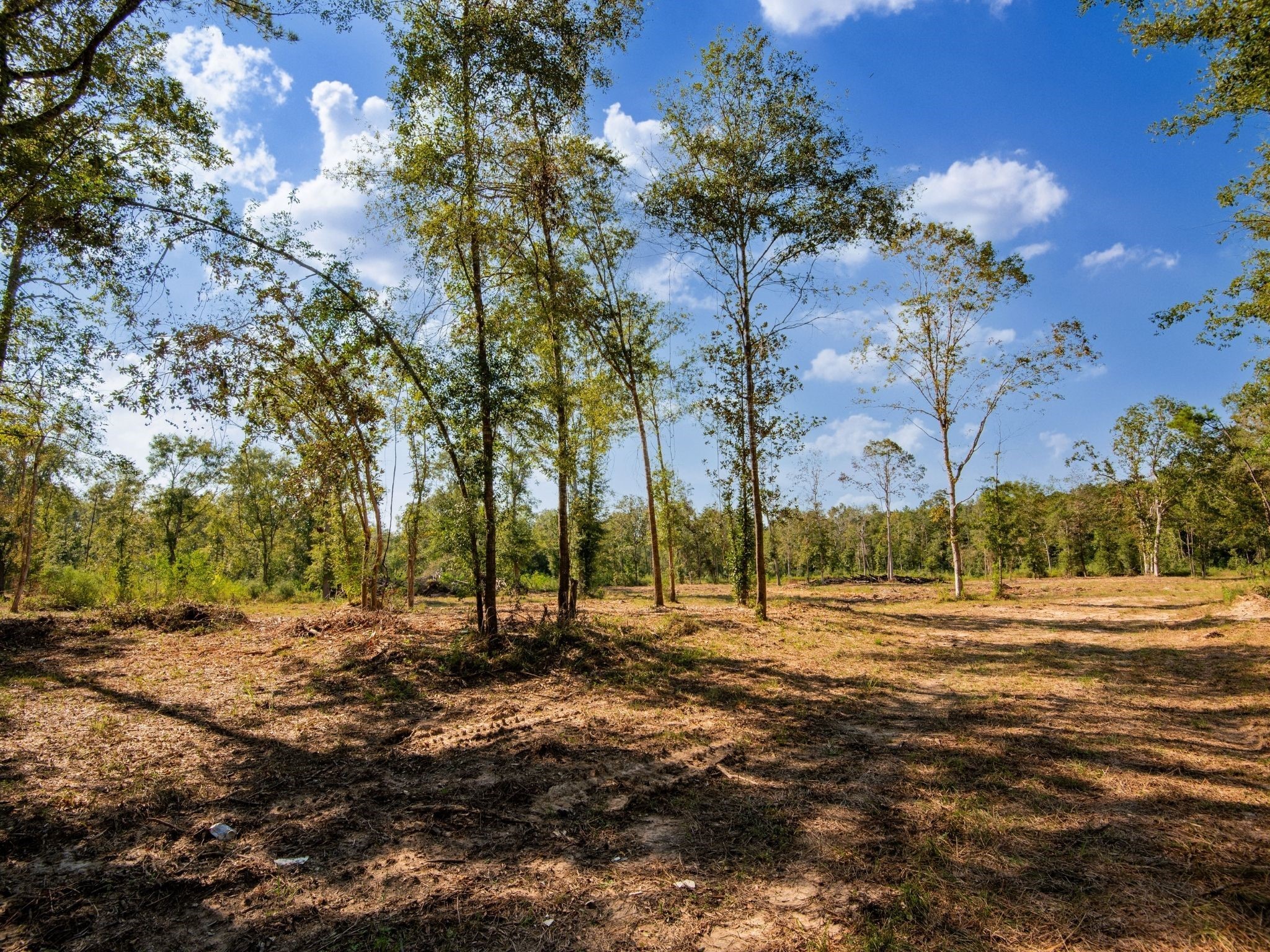 262 Maze Road, Livingston, TX, 77351