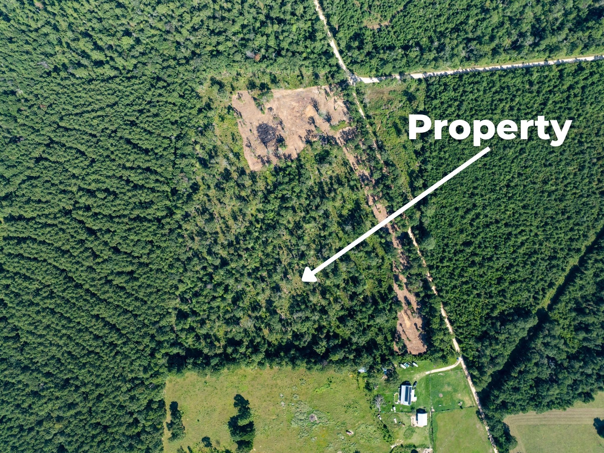 262 Maze Road, Livingston, TX, 77351