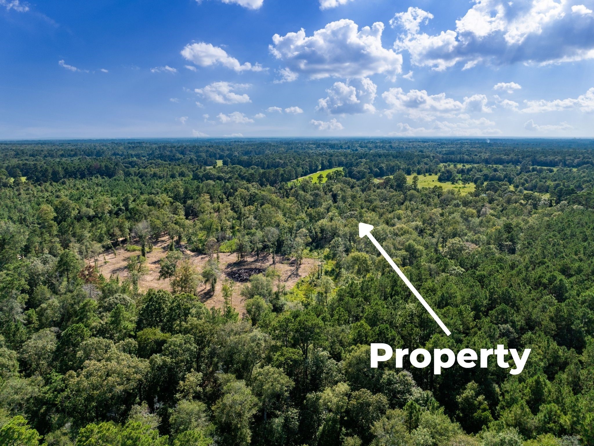 262 Maze Road, Livingston, TX, 77351