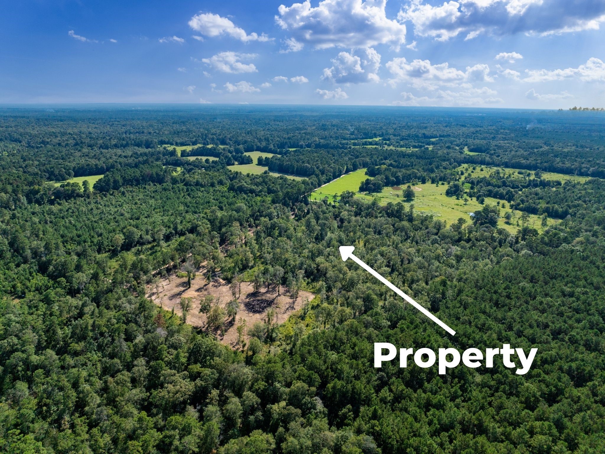 262 Maze Road, Livingston, TX, 77351