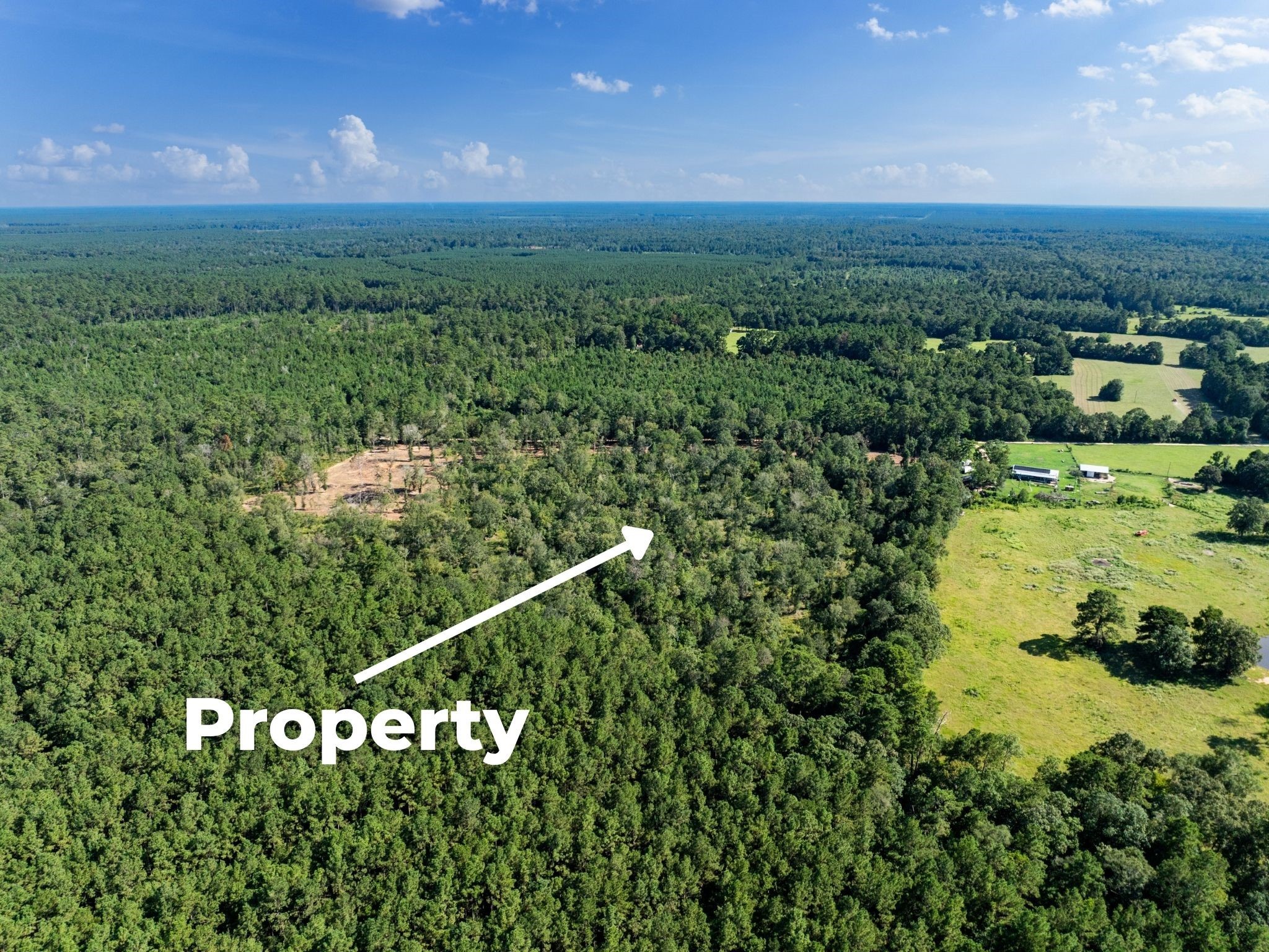 262 Maze Road, Livingston, TX, 77351
