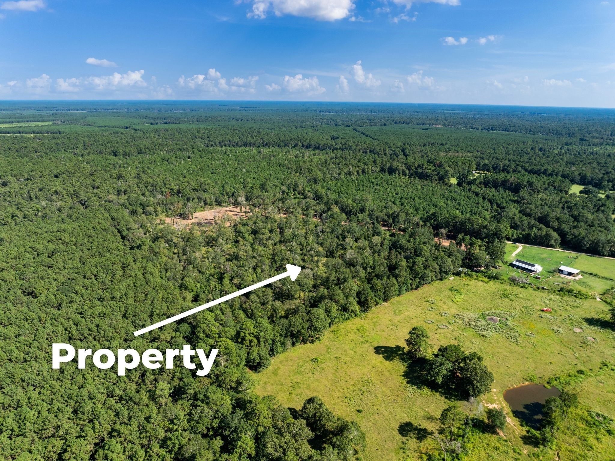 262 Maze Road, Livingston, TX, 77351