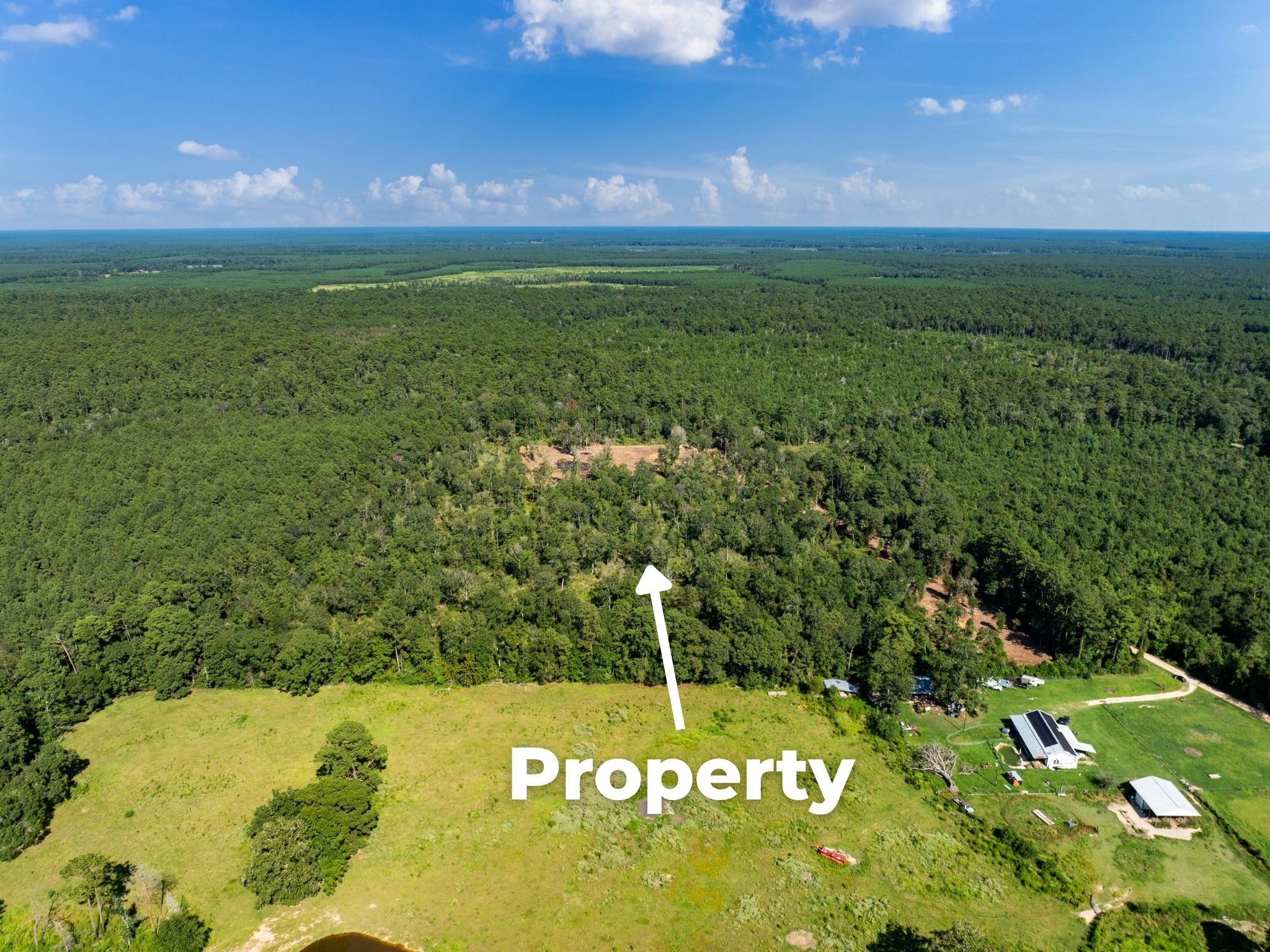 262 Maze Road, Livingston, TX, 77351