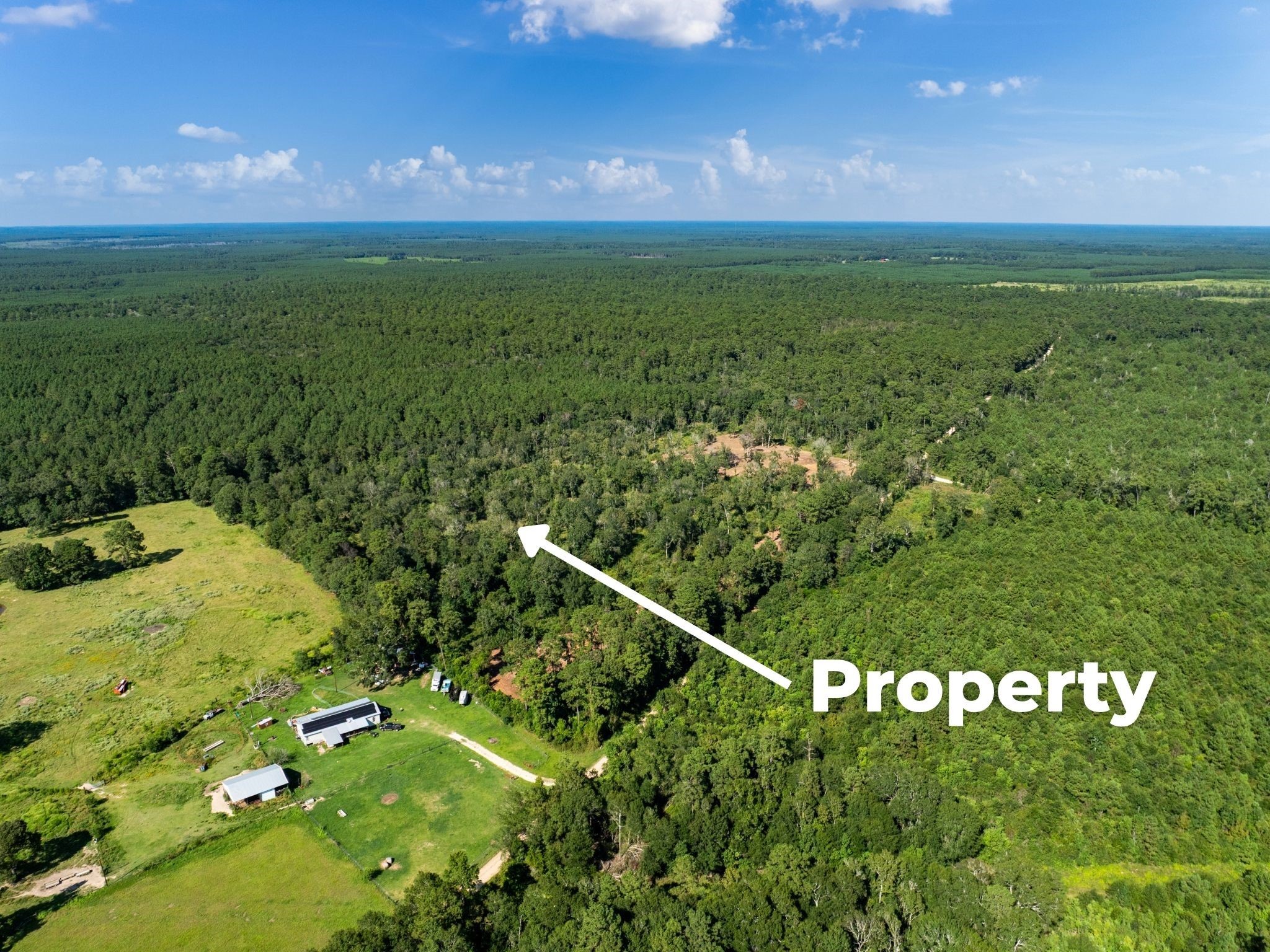 262 Maze Road, Livingston, TX, 77351