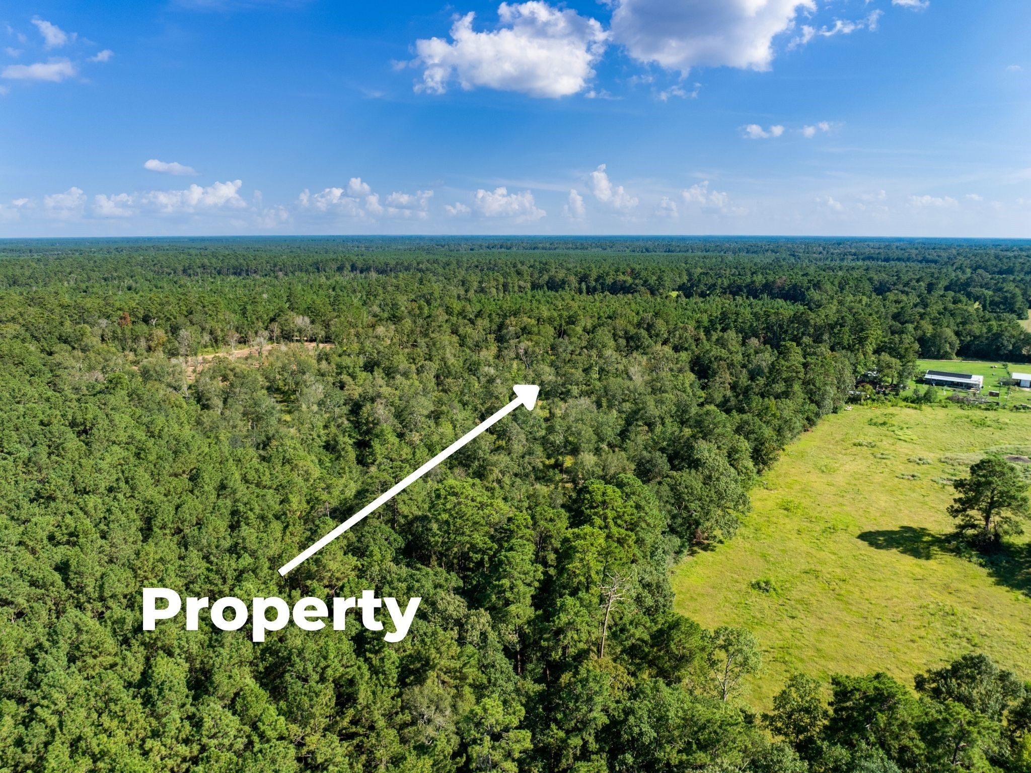 262 Maze Road, Livingston, TX, 77351
