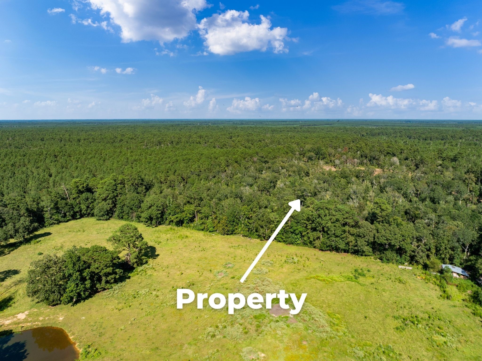 262 Maze Road, Livingston, TX, 77351