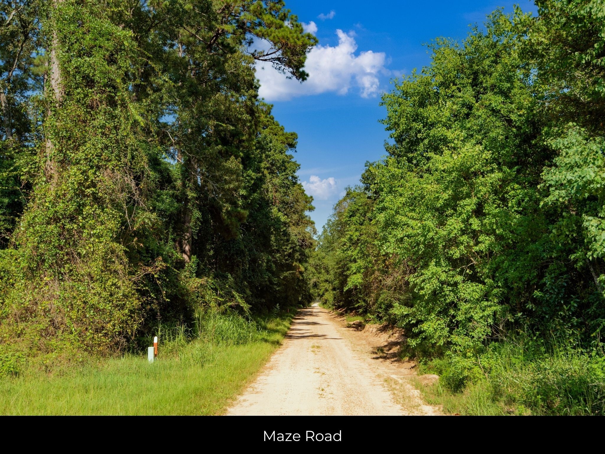 262 Maze Road, Livingston, TX, 77351