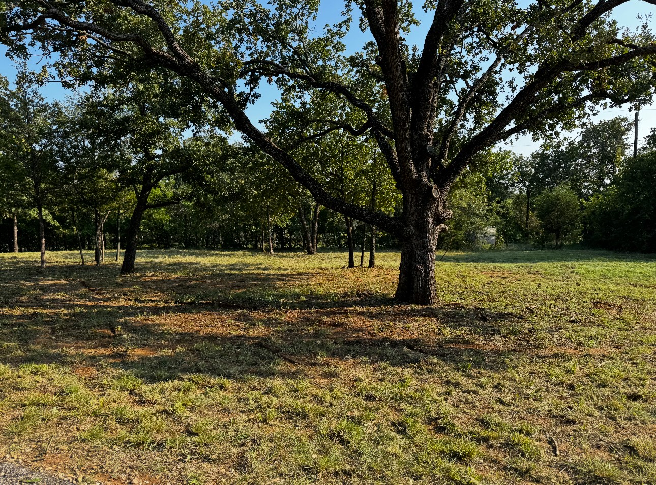 2017 Simmons Road, Flower Mound, TX, 75022