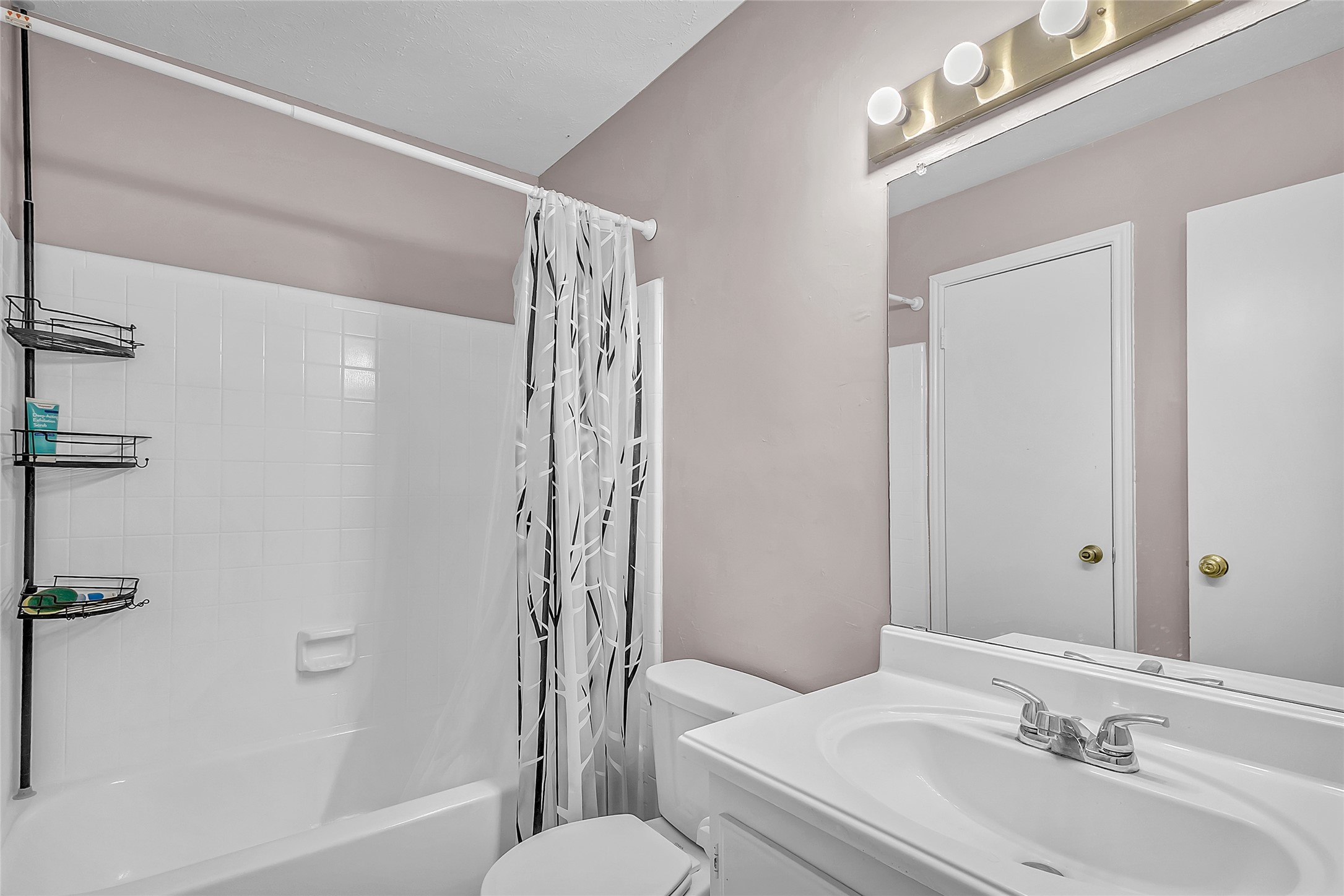 2440 Sunflower Drive, Arlington, TX, 76014