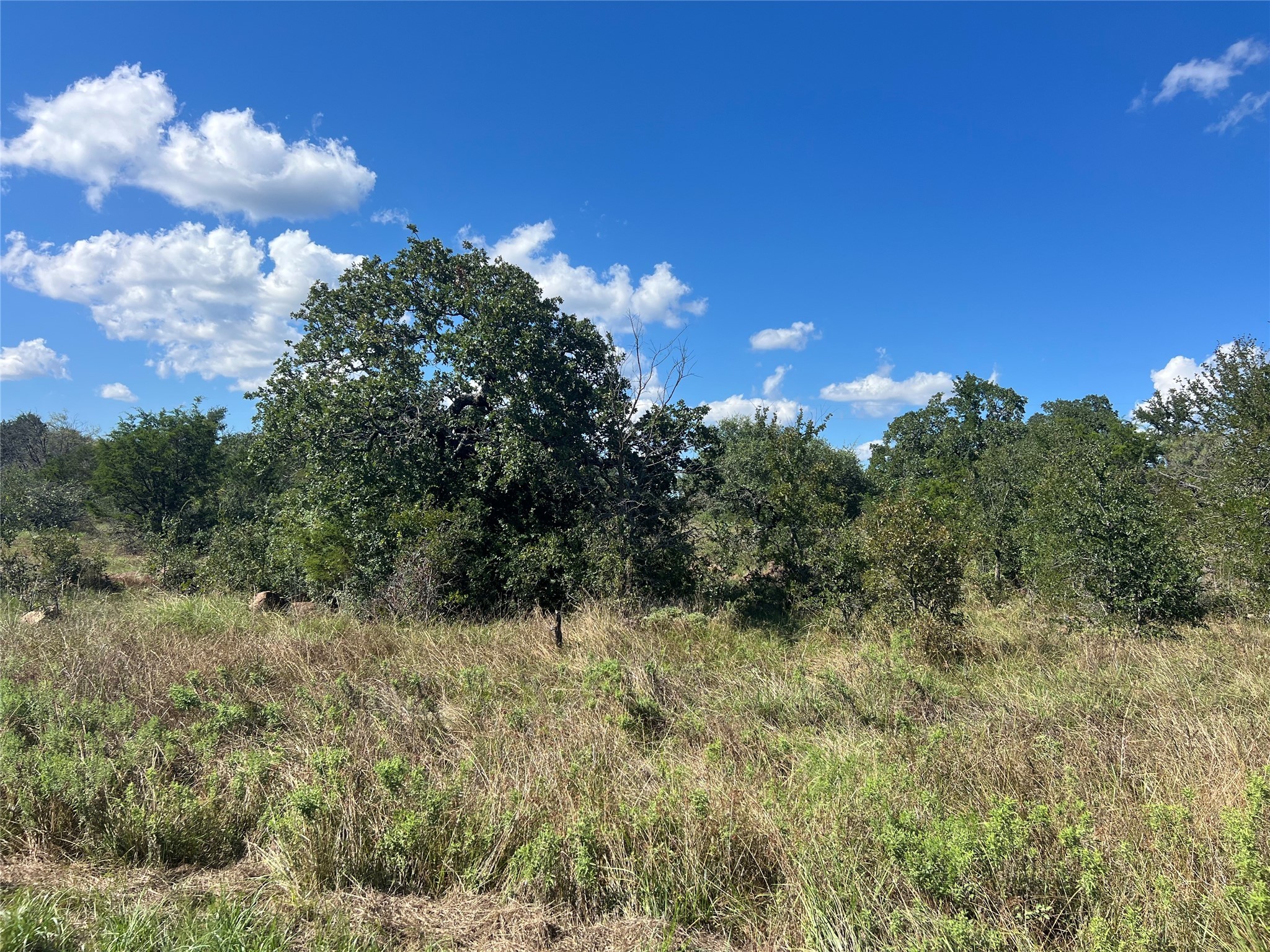 Property photo 04 of 2266 Stagecoach Trail, Gordon, TX 76453 | MLS #21084933