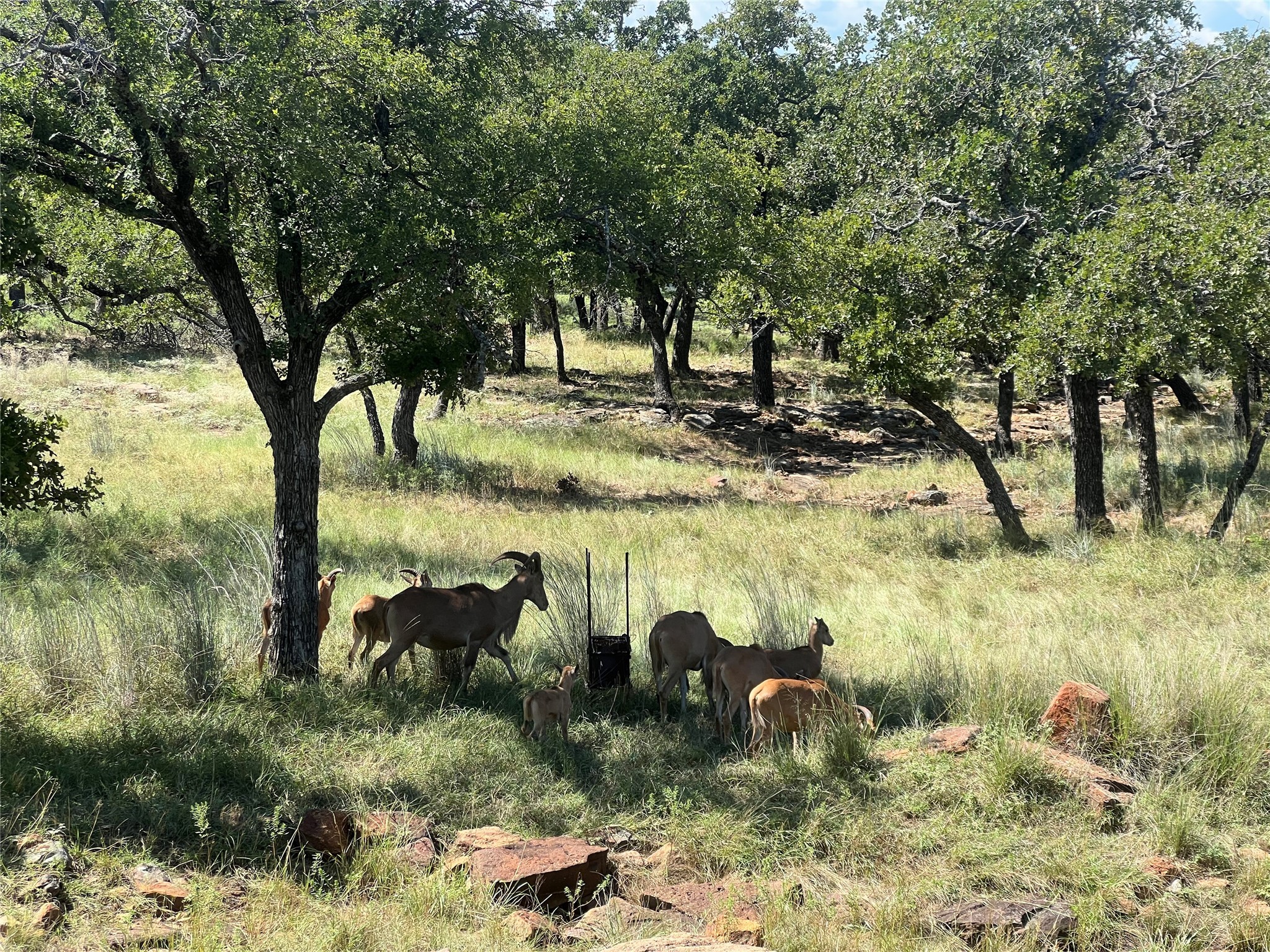 2266 Stagecoach Trail, Gordon, TX, 76453