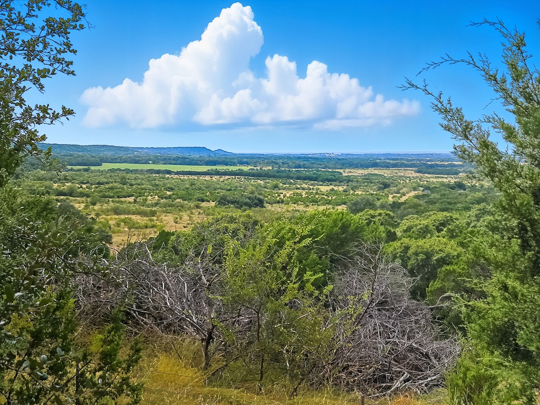 Property photo 01 of TDB 482 Acres W Fm 217, Jonesboro, TX 76538 | MLS #21085584
