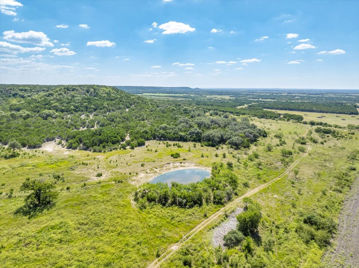 Property photo 02 of TDB 482 Acres W Fm 217, Jonesboro, TX 76538 | MLS #21085584
