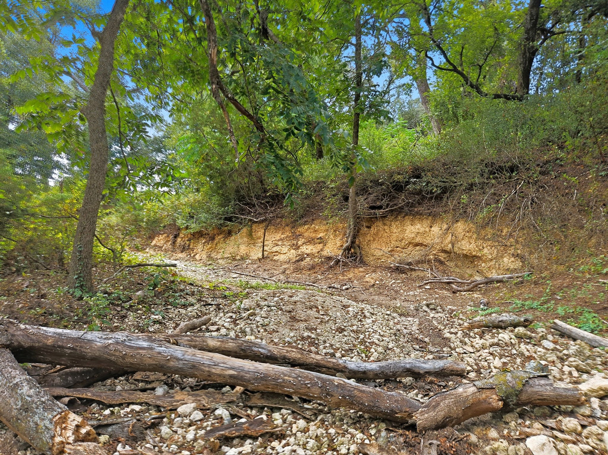 Property photo 04 of TDB 482 Acres W Fm 217, Jonesboro, TX 76538 | MLS #21085584