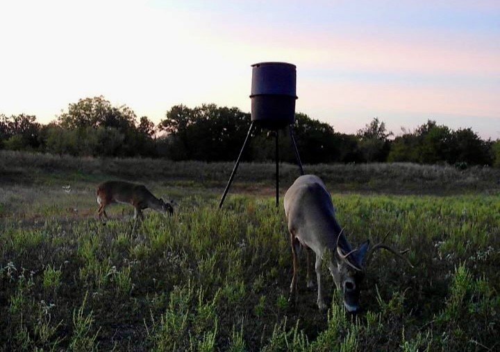 1800 County Road 479, Gorman, TX, 76454