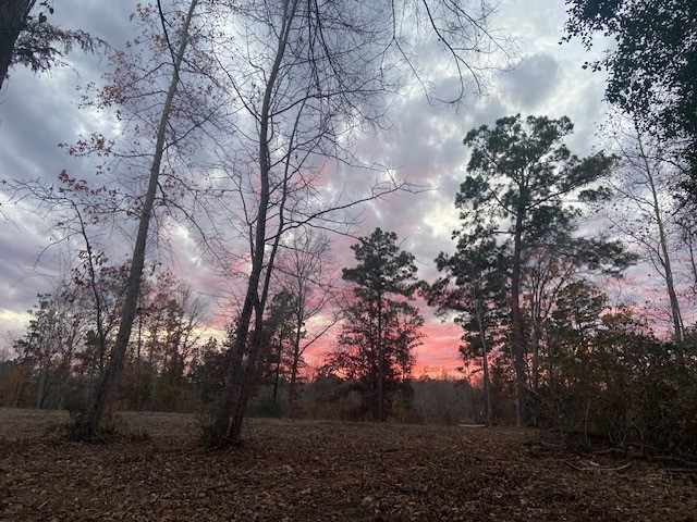 Property photo 01 of 536 An County Road 1233, Palestine, TX 75801 | MLS #21086126
