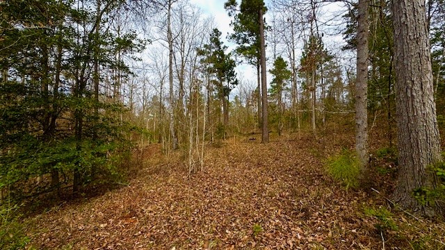 536 An County Road 1233, Palestine, TX, 75801