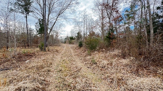 536 An County Road 1233, Palestine, TX, 75801