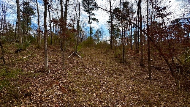 536 An County Road 1233, Palestine, TX, 75801