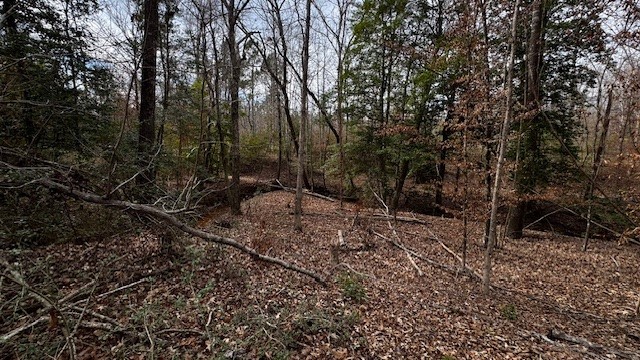 536 An County Road 1233, Palestine, TX, 75801