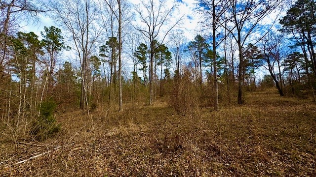536 An County Road 1233, Palestine, TX, 75801