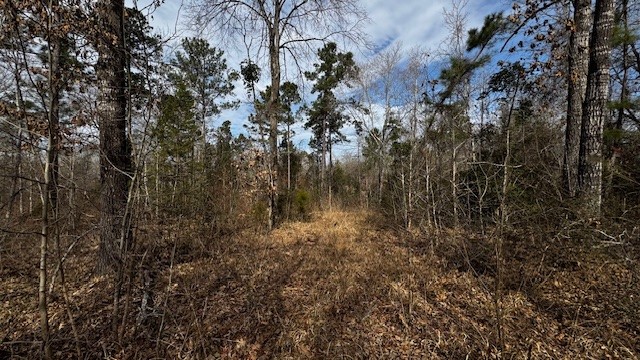 536 An County Road 1233, Palestine, TX, 75801