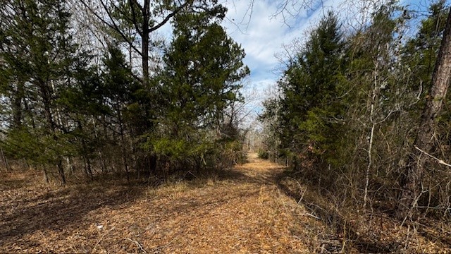 536 An County Road 1233, Palestine, TX, 75801