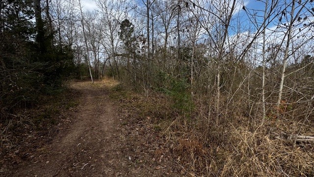 536 An County Road 1233, Palestine, TX, 75801