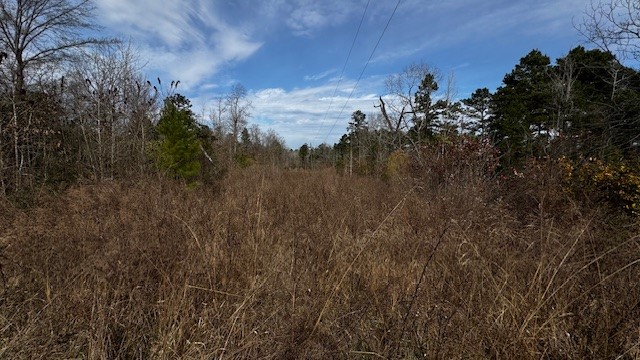 536 An County Road 1233, Palestine, TX, 75801