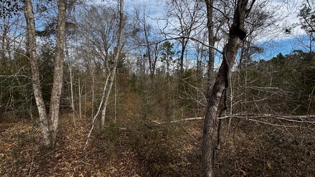 536 An County Road 1233, Palestine, TX, 75801