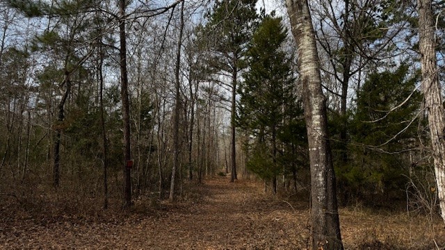 536 An County Road 1233, Palestine, TX, 75801