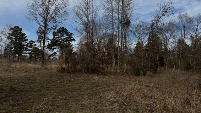 536 An County Road 1233, Palestine, TX, 75801