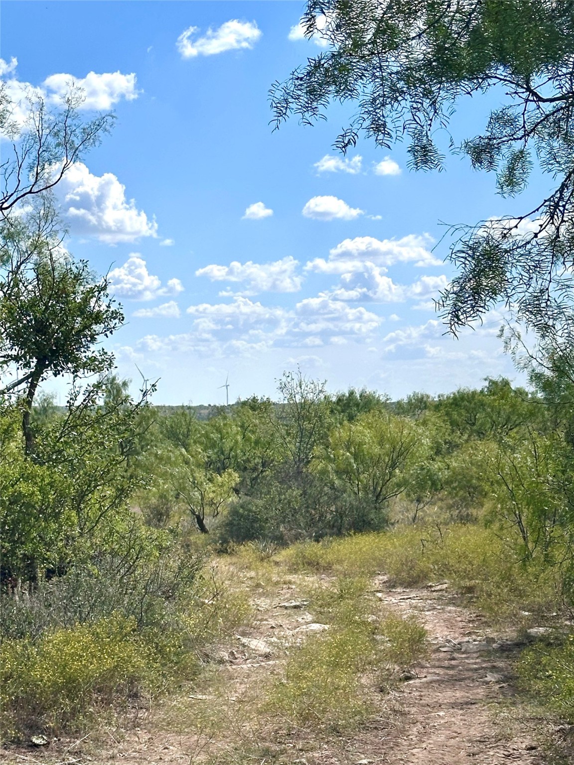 TBD TBA Cnty Road 100, Abilene, TX, 79601