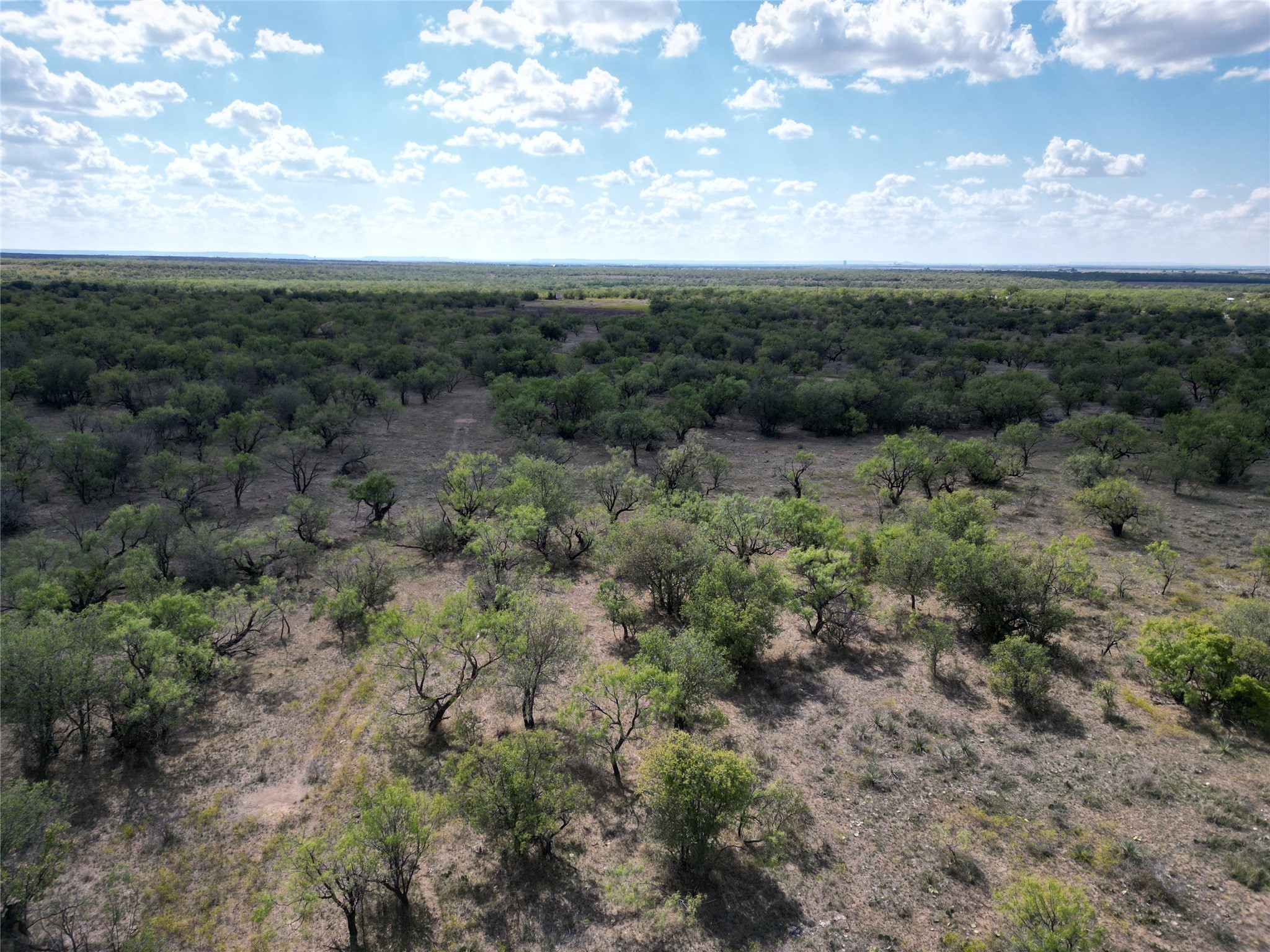 TBD TBA Cnty Road 100, Abilene, TX, 79601
