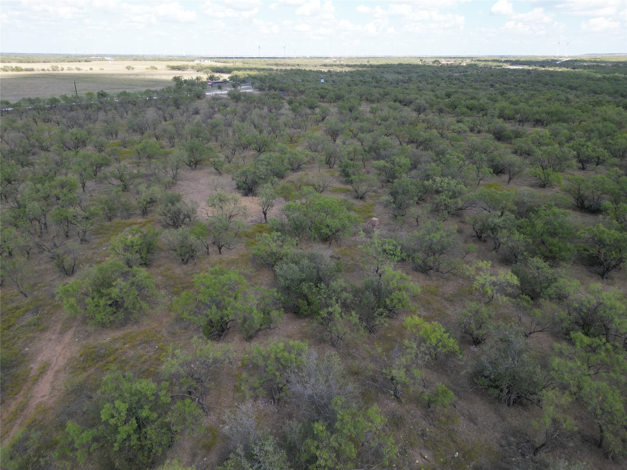 TBD TBA Cnty Road 100, Abilene, TX, 79601
