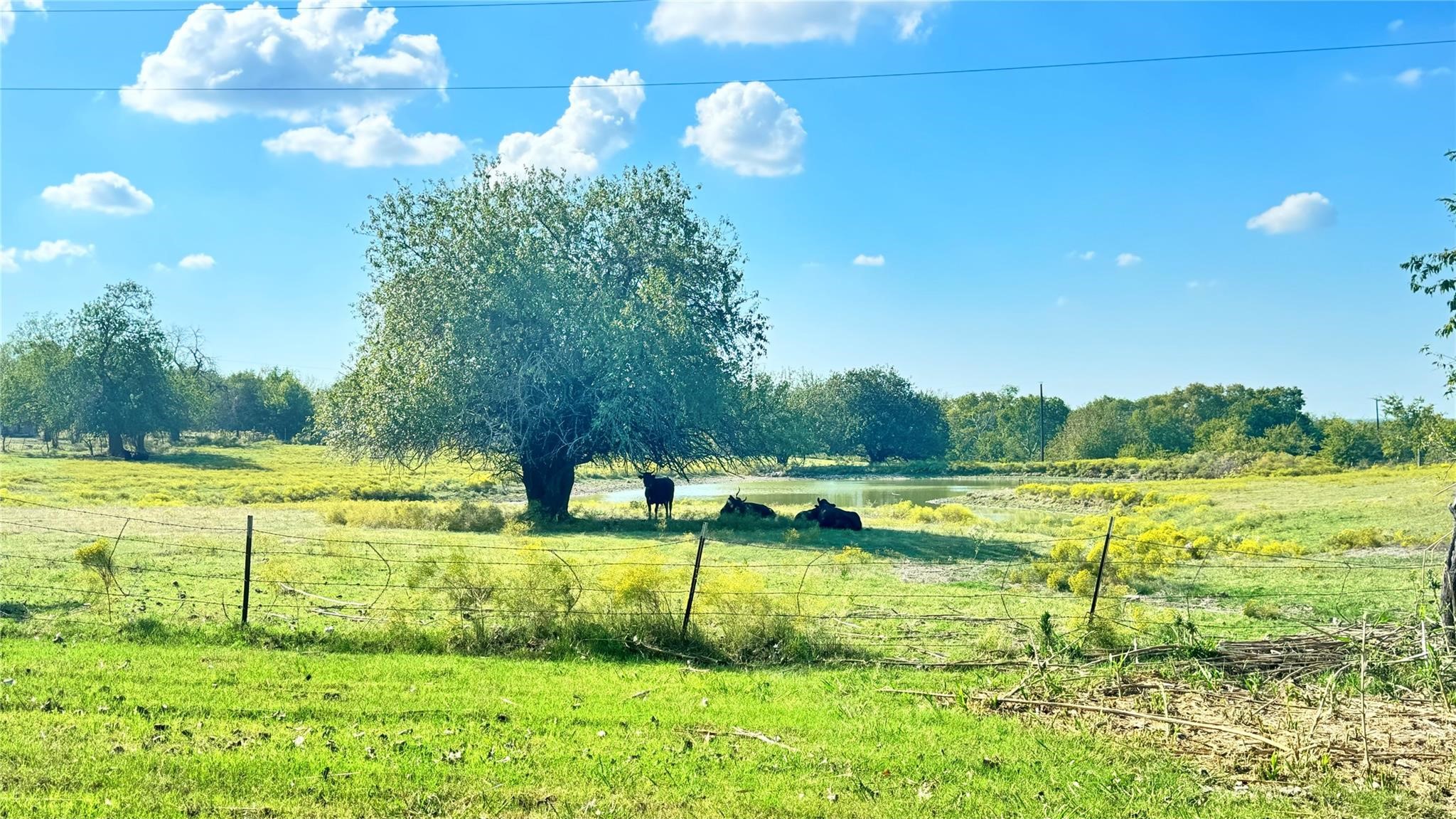 Property photo 04 of 1258 County Road 352 Road, Gainesville, TX 76240 | MLS #21087751