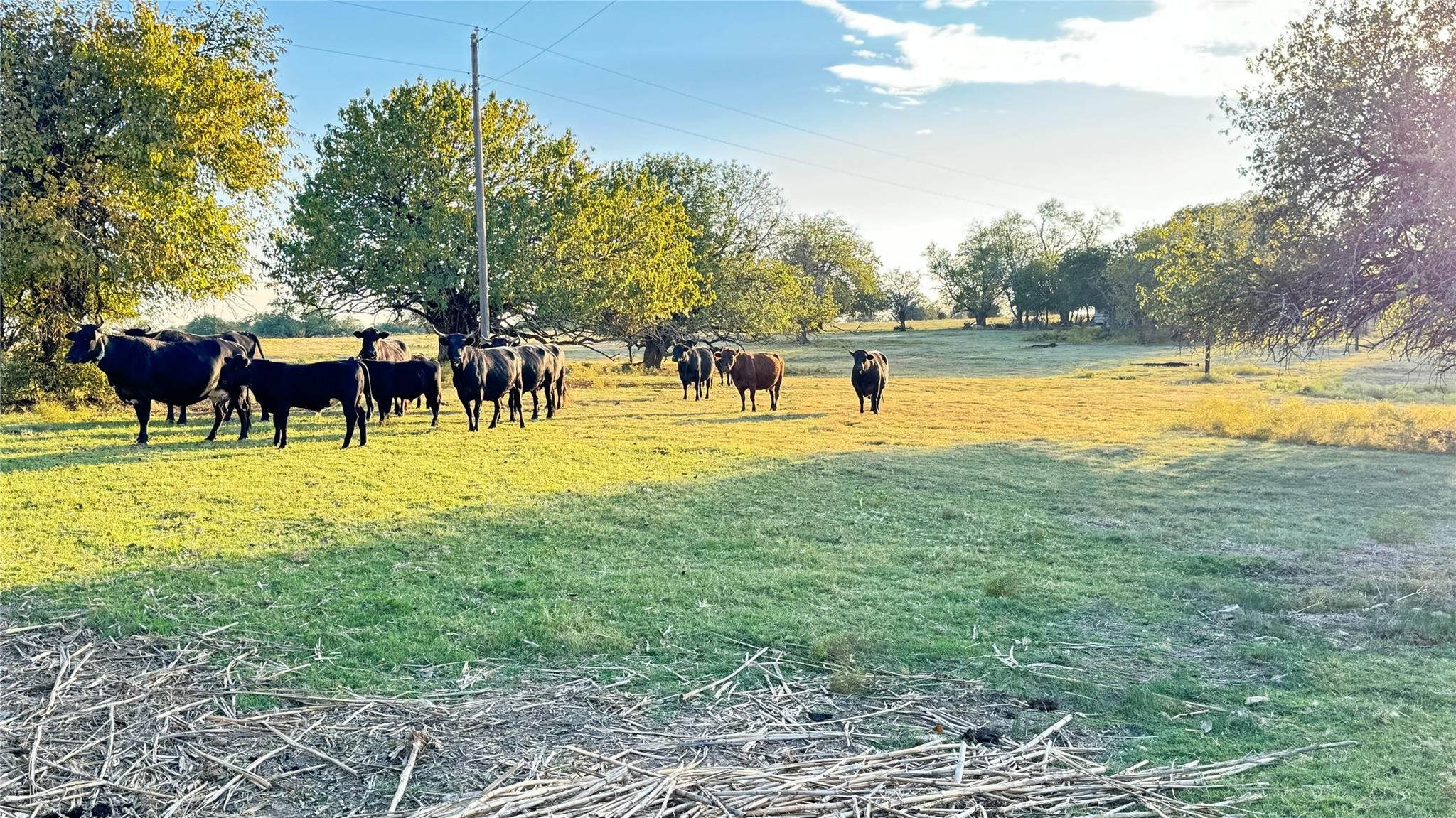 1258 County Road 352 Road, Gainesville, TX, 76240