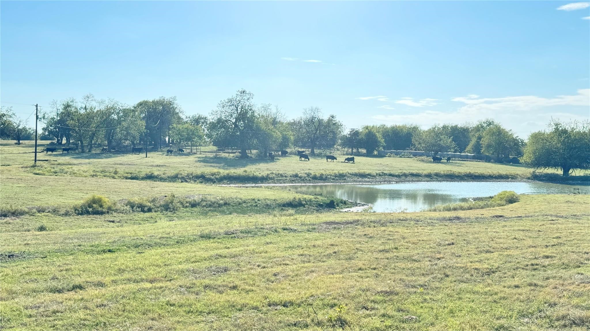 1258 County Road 352 Road, Gainesville, TX, 76240