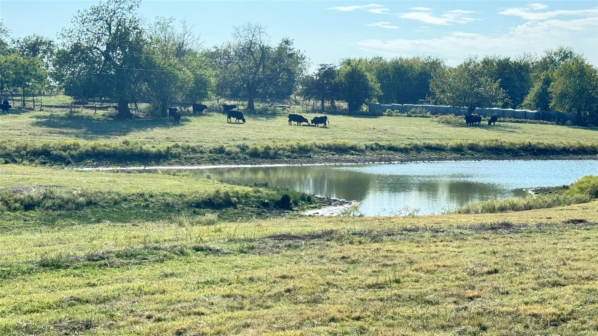 1258 County Road 352 Road, Gainesville, TX, 76240