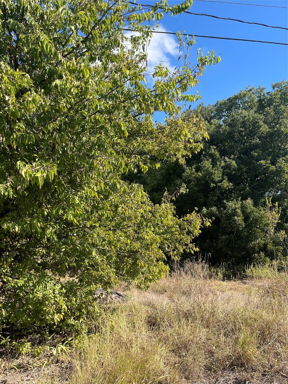 00 Highway 69, Greenville, TX, 75401