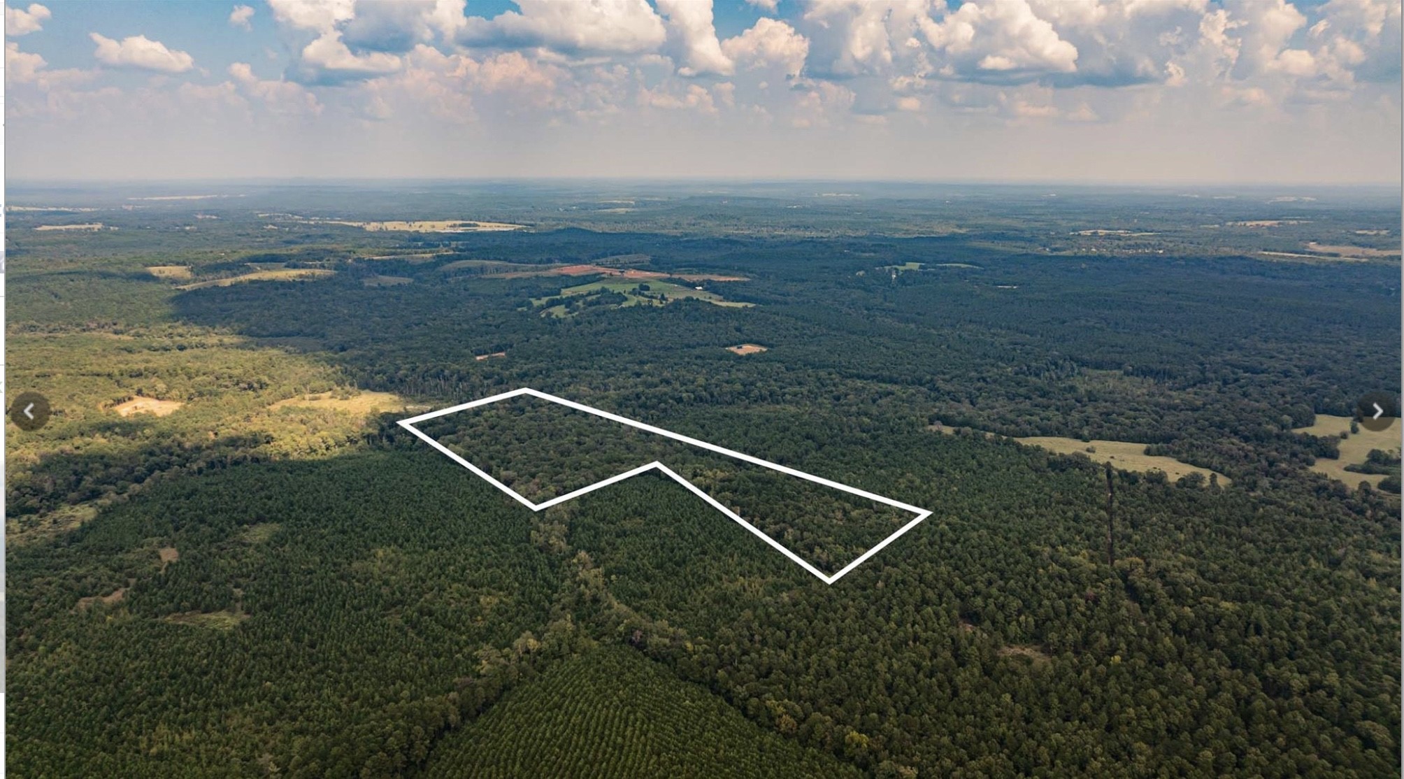 TBD County Road 1582, Avinger, TX, 75630