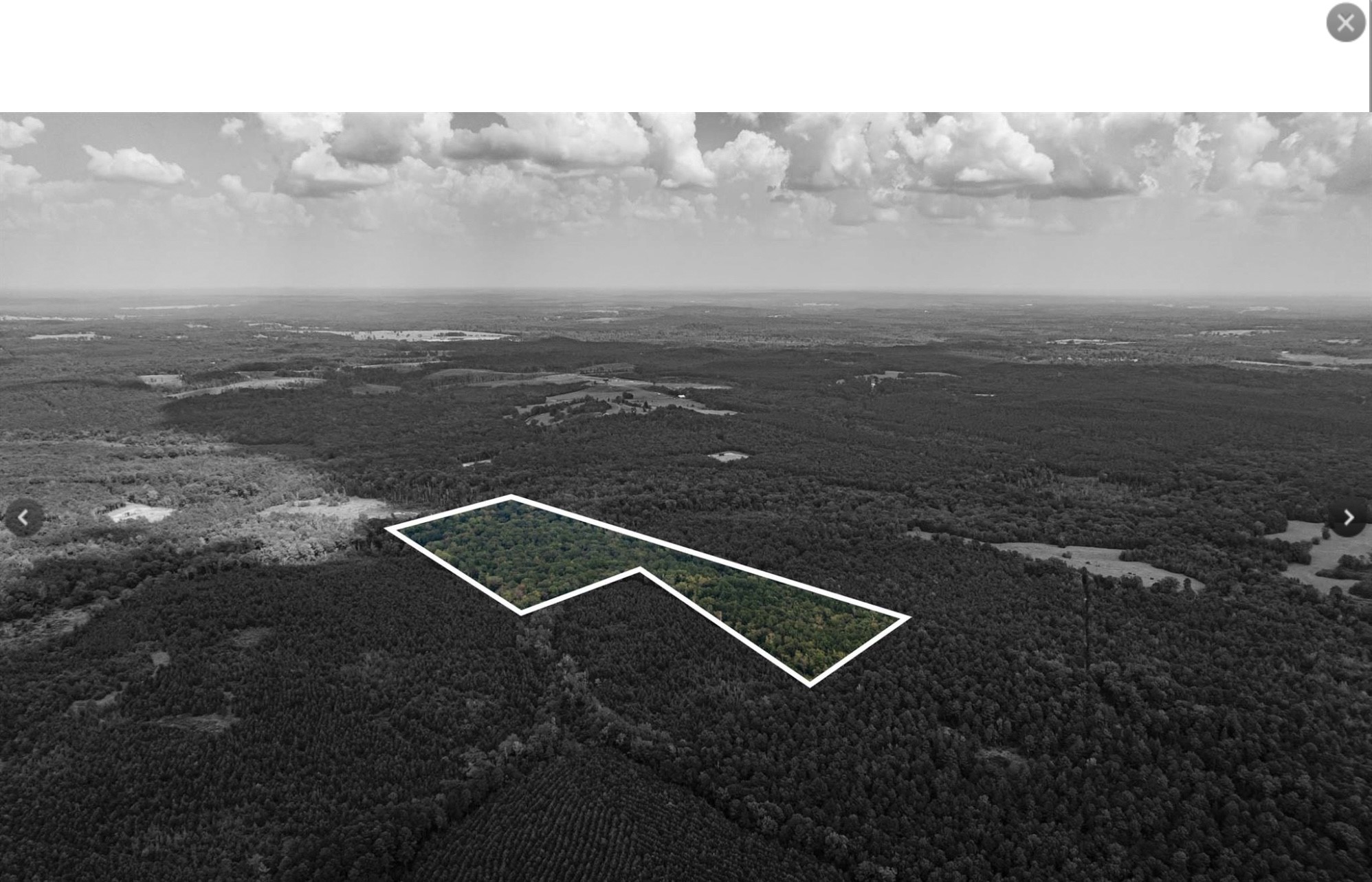 TBD County Road 1582, Avinger, TX, 75630