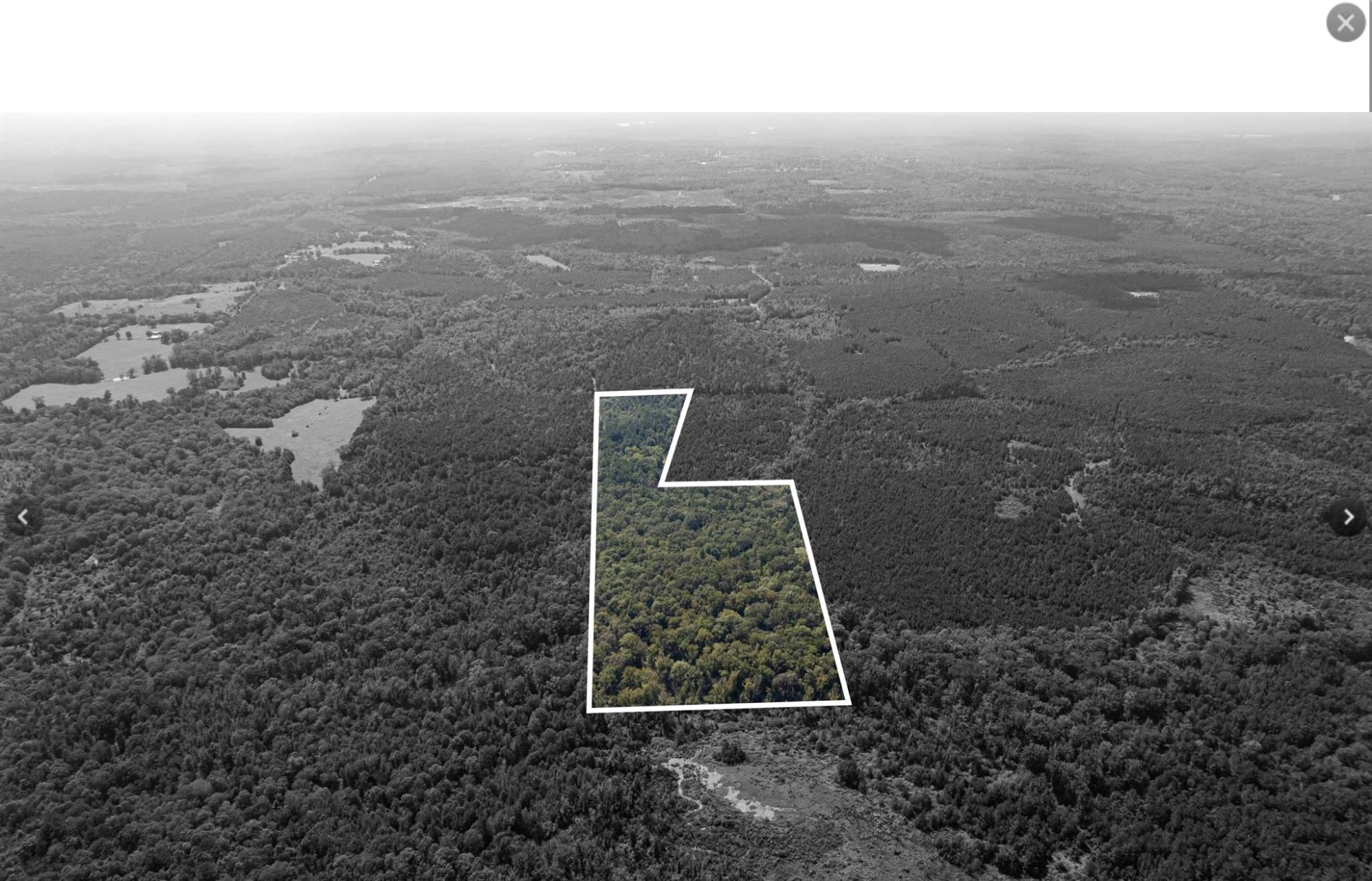 TBD County Road 1582, Avinger, TX, 75630