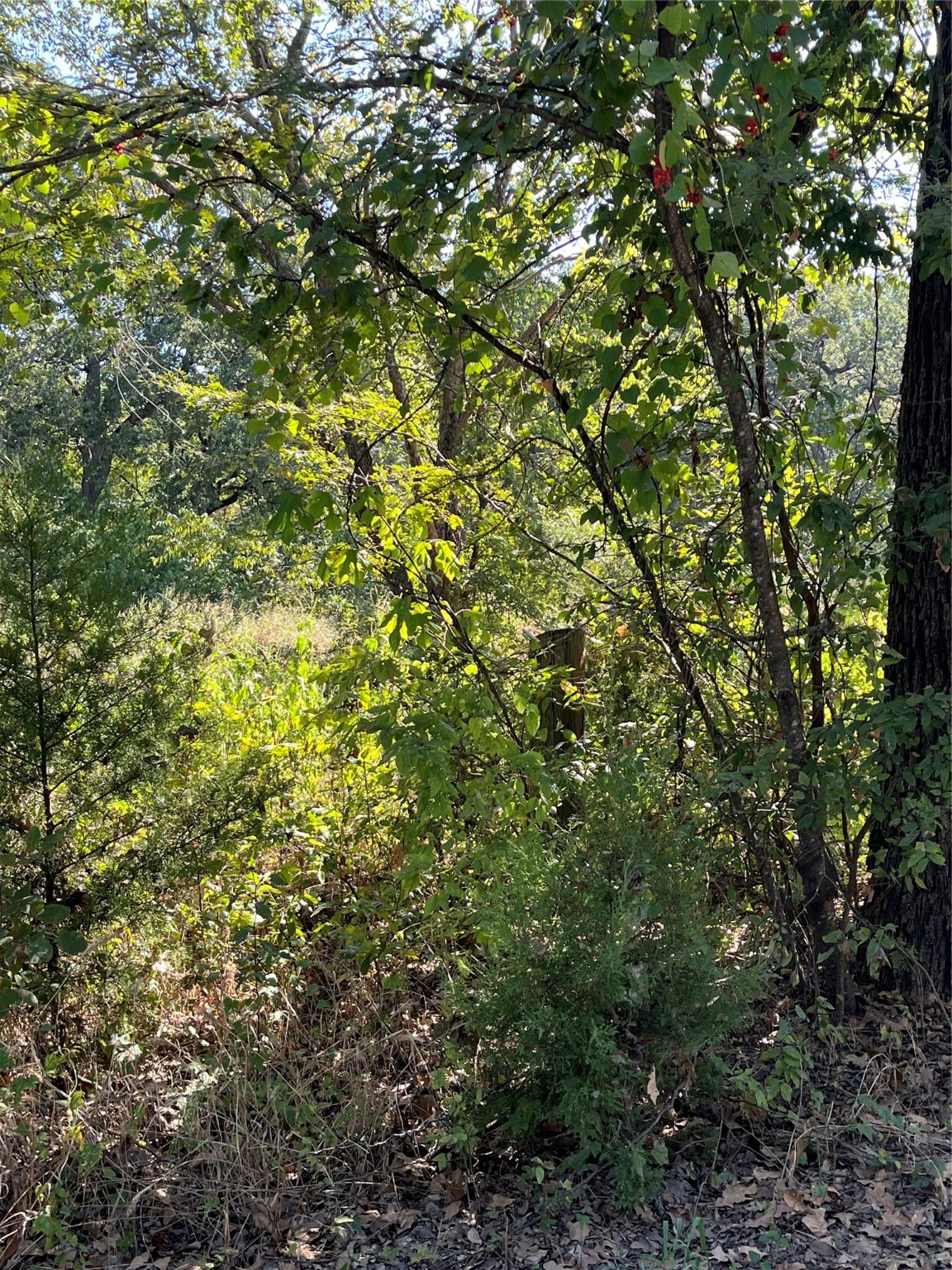 Property photo 01 of 00 Pinewood Drive Hawk, Cove, TX 75474 | MLS #21093934