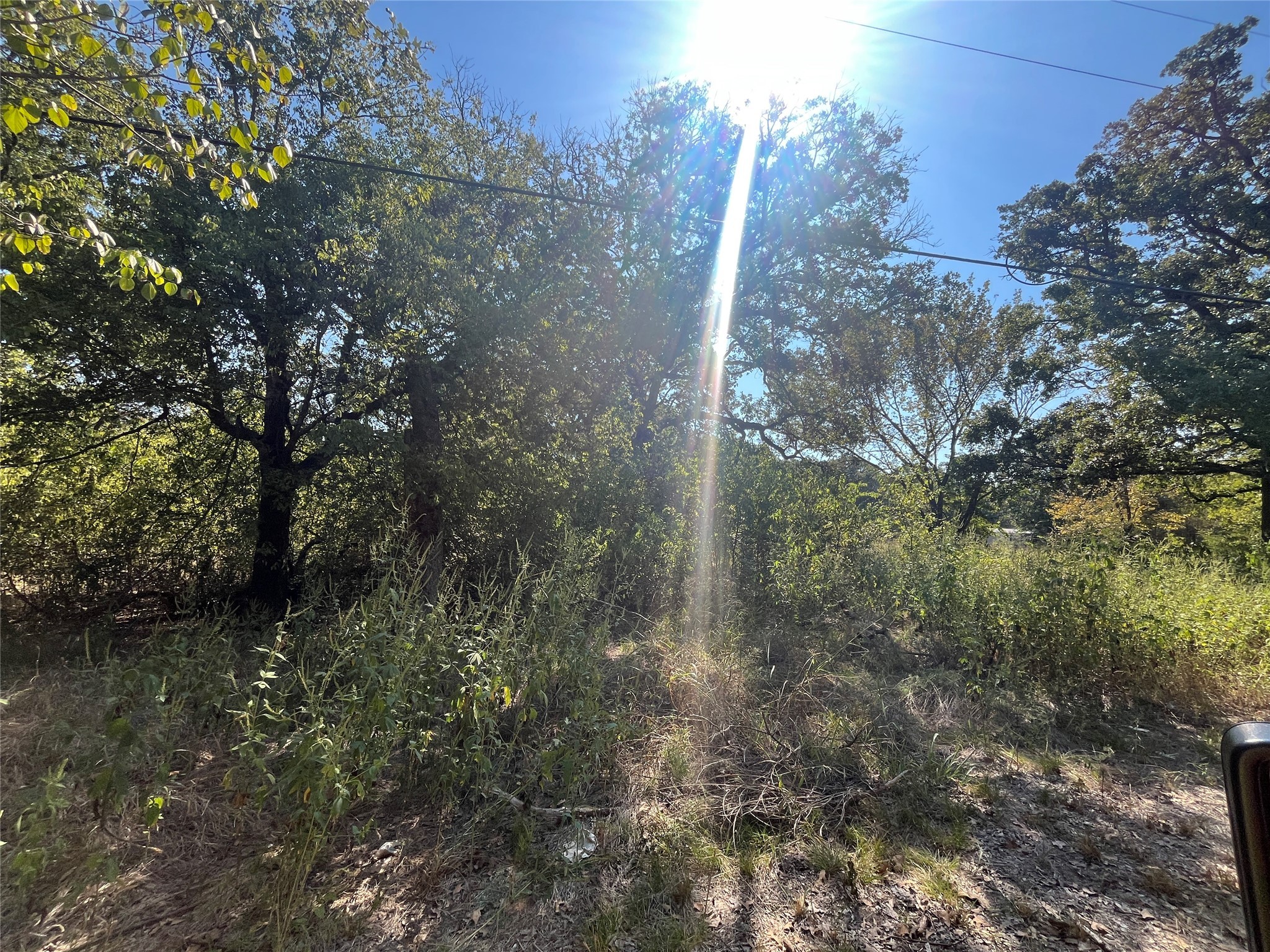 Property photo 02 of 00 Pinewood Drive Hawk, Cove, TX 75474 | MLS #21093934