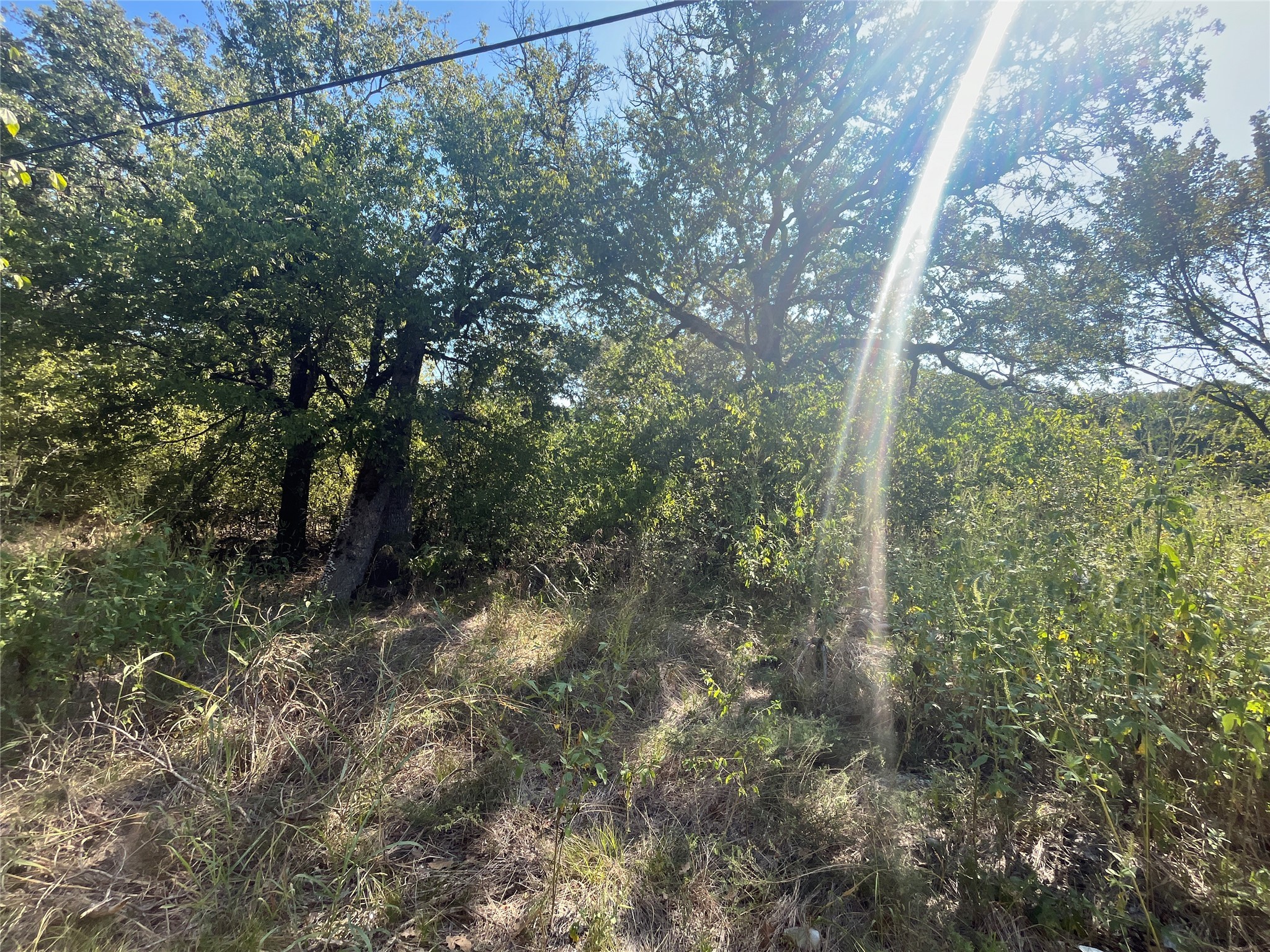 Property photo 03 of 00 Pinewood Drive Hawk, Cove, TX 75474 | MLS #21093934